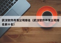 武汉软件开发公司排名（武汉软件开发公司排名前十名）