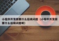 小程序开发需要什么后续问题（小程序开发需要什么后续问题呢）