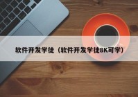 软件开发学徒（软件开发学徒8K可学）