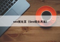 seo优化王（Seo优化方法）