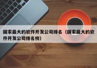 国家最大的软件开发公司排名（国家最大的软件开发公司排名榜）