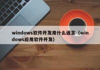 windows软件开发用什么语言（windows应用软件开发）