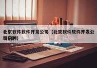 北京软件软件开发公司（北京软件软件开发公司招聘）